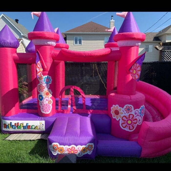 1000006547 1000006547