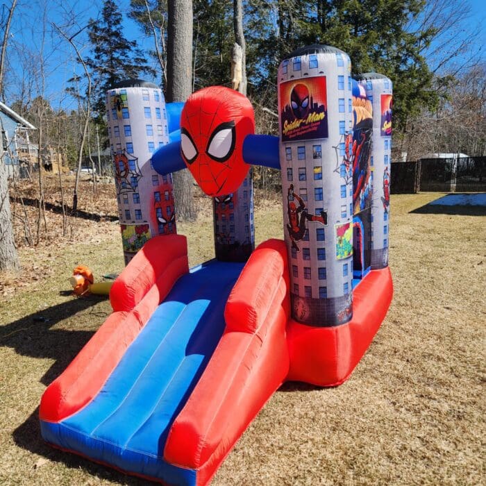 Mini spider man Mini spider man