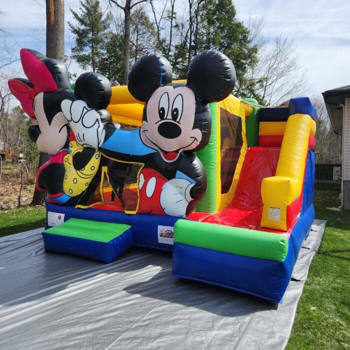 MICKEY MOUSE 2 MICKEY MOUSE 2