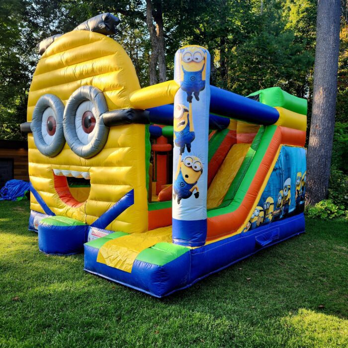 MINION 2